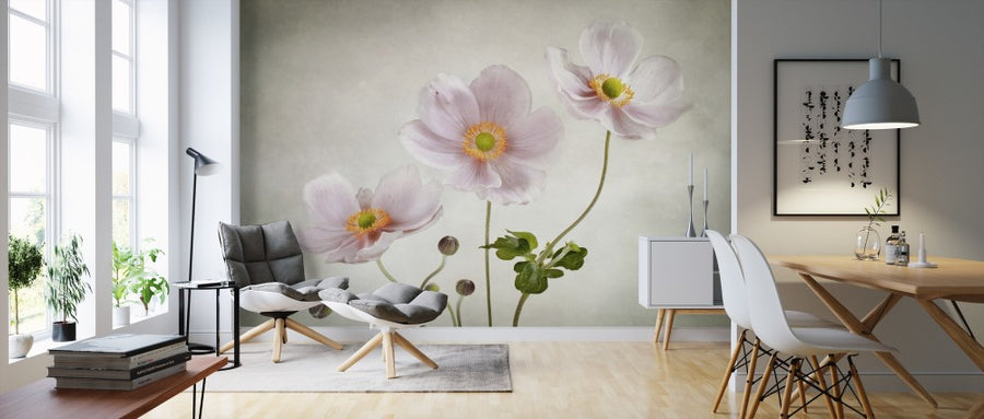 PHOTOWALL / Anemones (e312991)