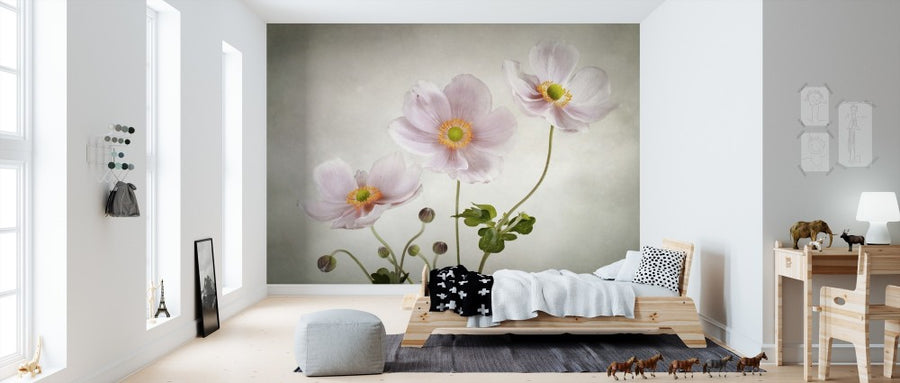 PHOTOWALL / Anemones (e312991)