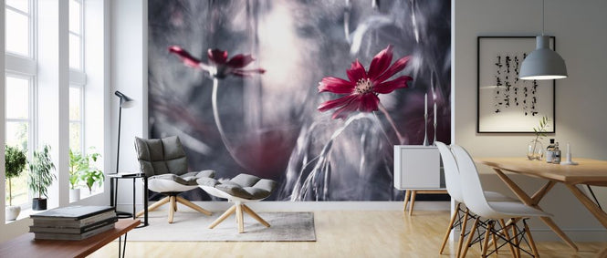 PHOTOWALL / Seduction Games (e312992)