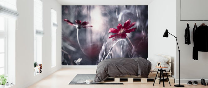 PHOTOWALL / Seduction Games (e312992)