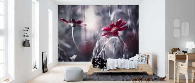 PHOTOWALL / Seduction Games (e312992)