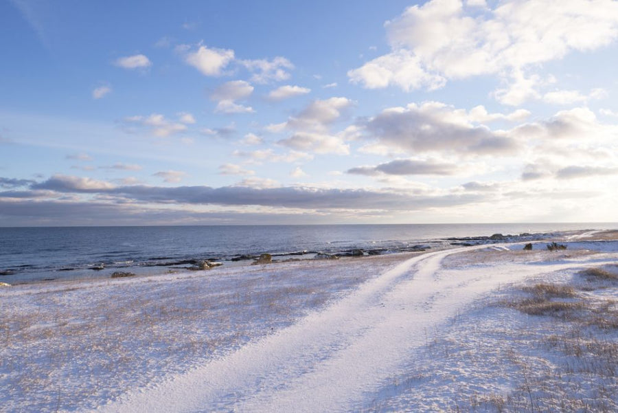 PHOTOWALL / Winter Beach at Gotland (e313194)