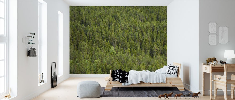 PHOTOWALL / Fir Forest in Dalarna (e313196)