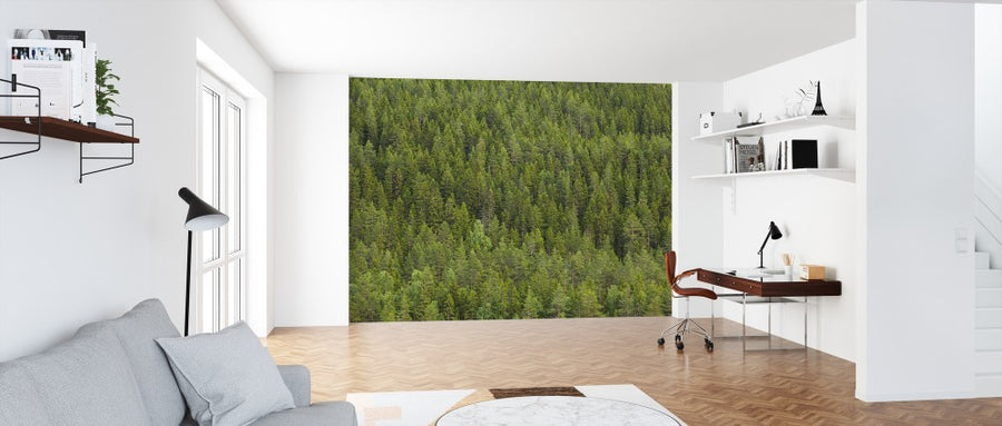 PHOTOWALL / Fir Forest in Dalarna (e313196)