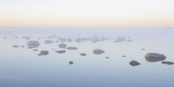 PHOTOWALL / Foggy Morning at Oland (e313197)