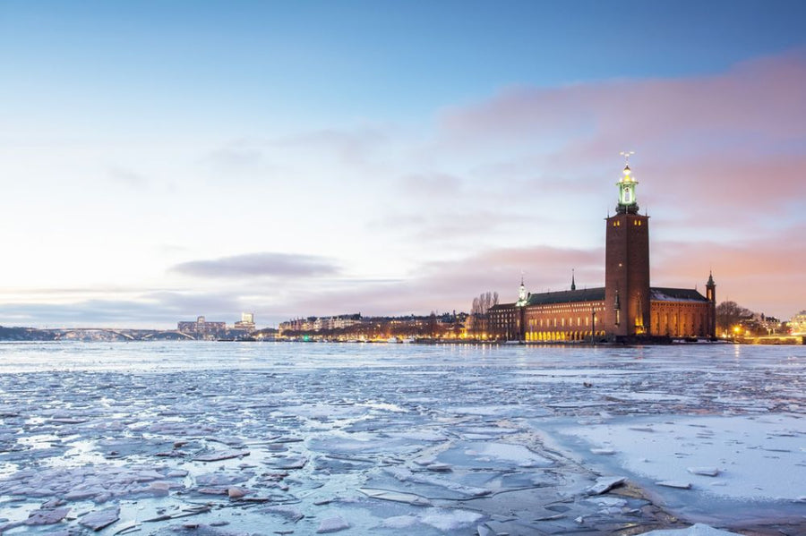 PHOTOWALL / Stockholm City Hall in Winter (e313205)