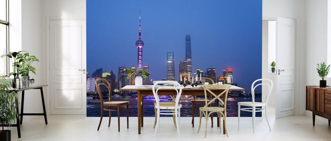 PHOTOWALL / Night View of Shanghai City (e313209)
