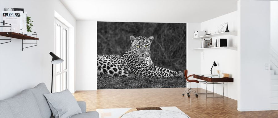 PHOTOWALL / Leopard Portrait (e313155)