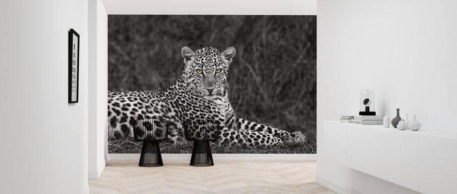 PHOTOWALL / Leopard Portrait (e313155)