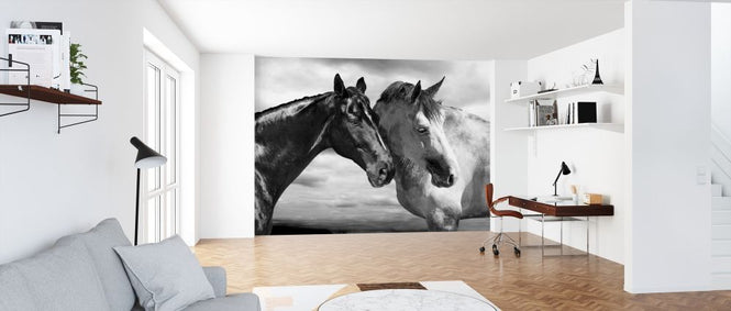 PHOTOWALL / Horse Portrait (e313156)