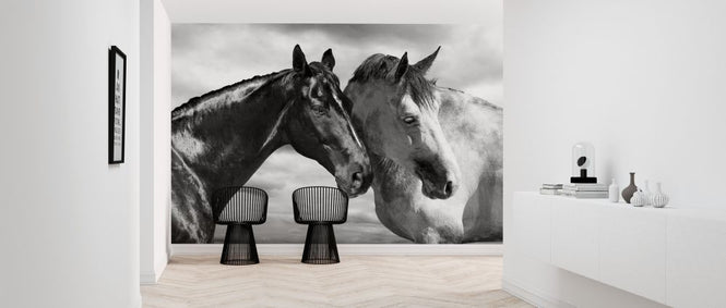 PHOTOWALL / Horse Portrait (e313156)