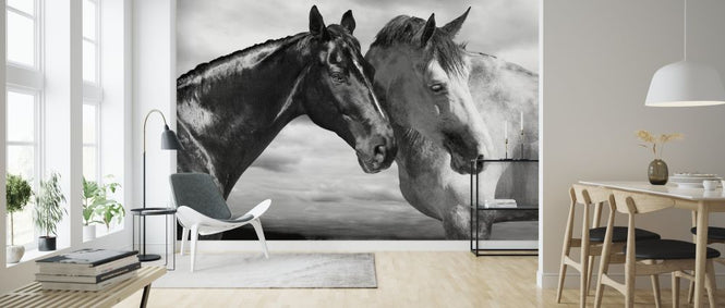 PHOTOWALL / Horse Portrait (e313156)
