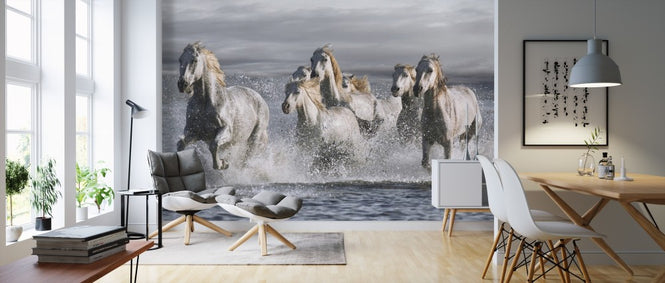 PHOTOWALL / Horses Running at the Beach (e313162)