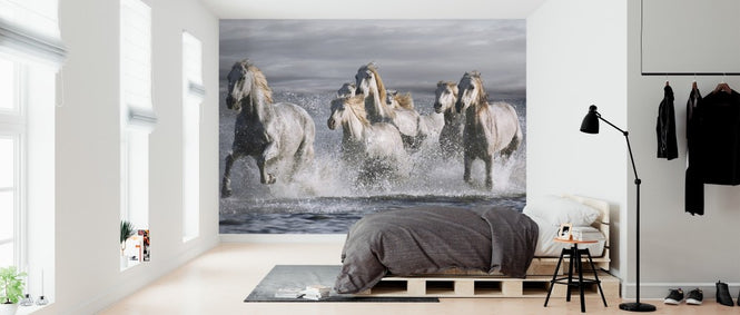 PHOTOWALL / Horses Running at the Beach (e313162)