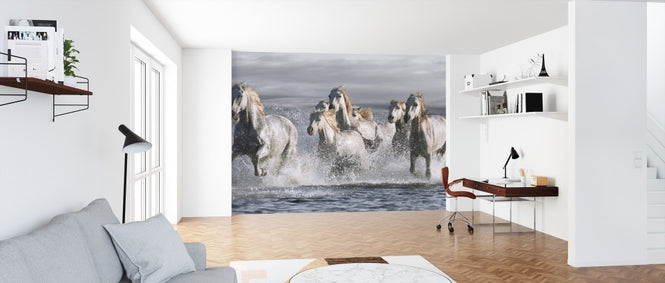 PHOTOWALL / Horses Running at the Beach (e313162)