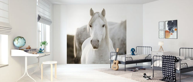 PHOTOWALL / Horse (e313163)