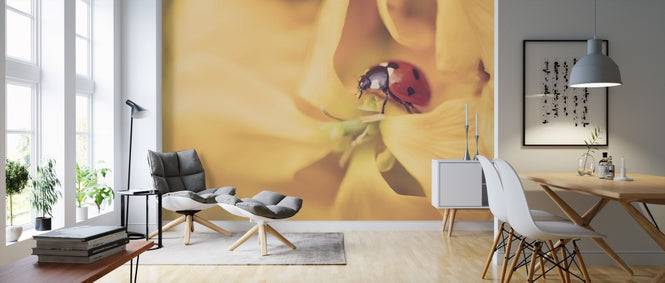 PHOTOWALL / Ladybird Exploring (e313258)