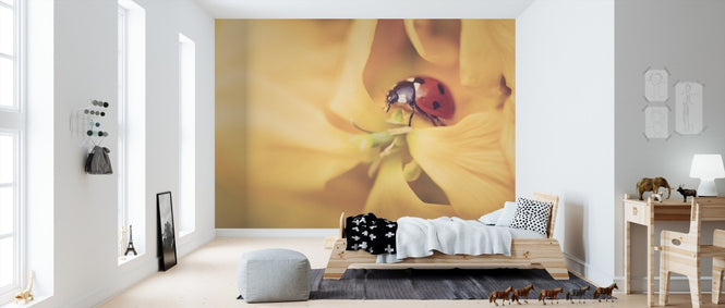 PHOTOWALL / Ladybird Exploring (e313258)