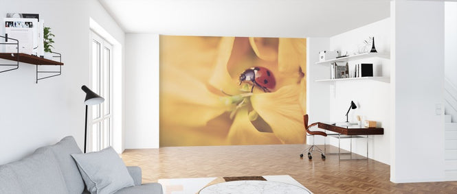 PHOTOWALL / Ladybird Exploring (e313258)