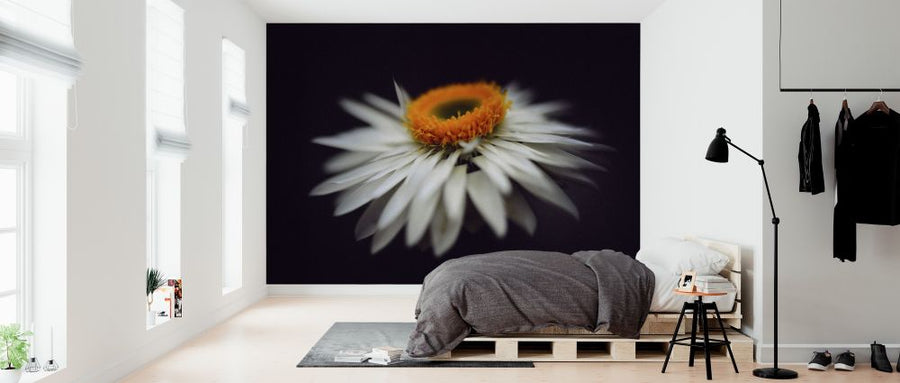 PHOTOWALL / Magnific Flower (e313263)