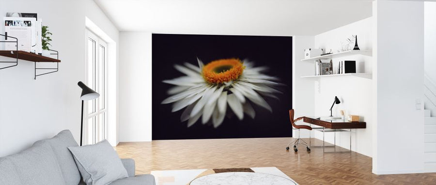 PHOTOWALL / Magnific Flower (e313263)