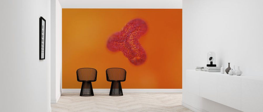 PHOTOWALL / Micro World (e313266)