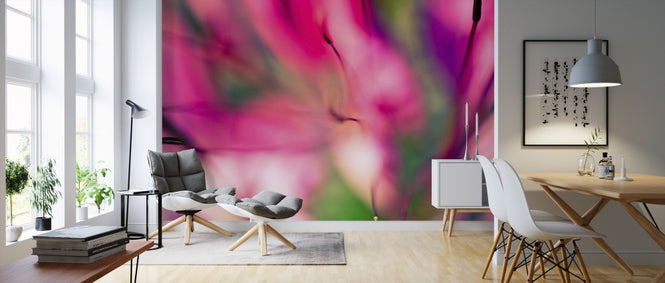 PHOTOWALL / Pink Jungle (e313273)