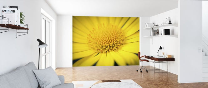 PHOTOWALL / Tropical Garden (e313285)