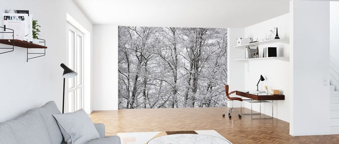 PHOTOWALL / Trees (e313220)