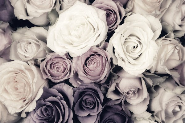 PHOTOWALL / Dark Roses (e313225)
