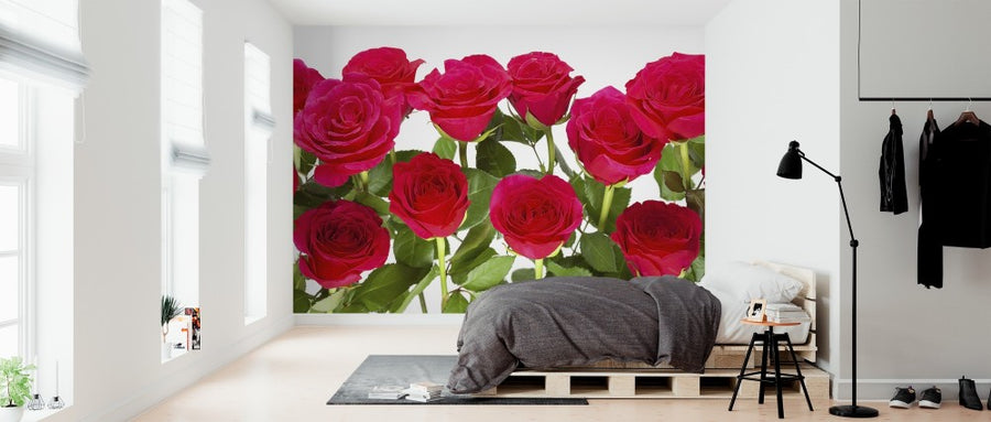 PHOTOWALL / Red Roses (e313228)