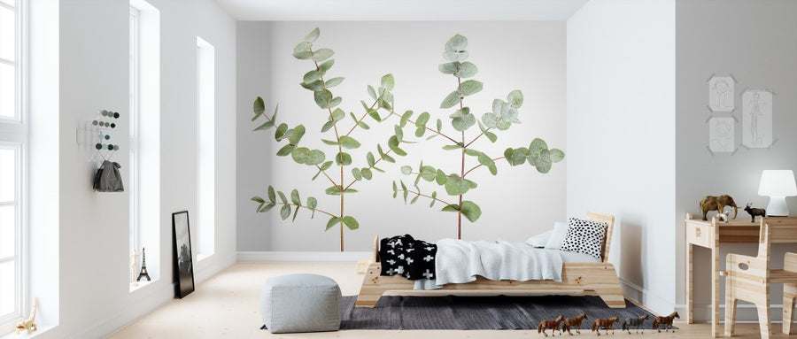 PHOTOWALL / Eucalyptus Plant (e313229)
