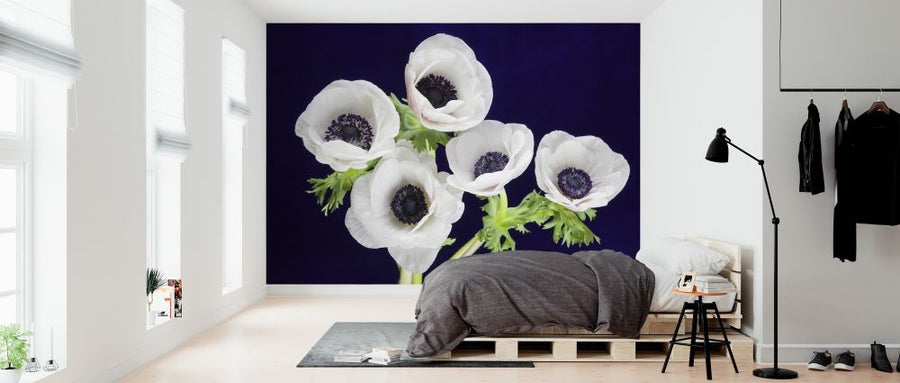 PHOTOWALL / Flower Blooms (e313233)