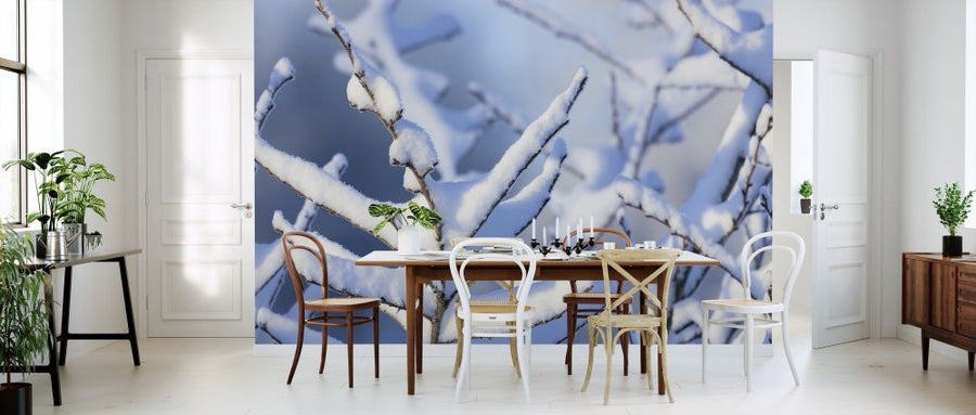 PHOTOWALL / Frozen Branch (e313242)