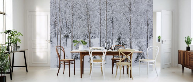 PHOTOWALL / Snow in the Forest (e313243)