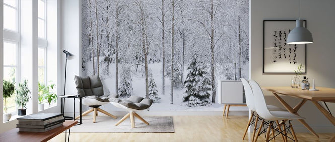 PHOTOWALL / Snow in the Forest (e313243)