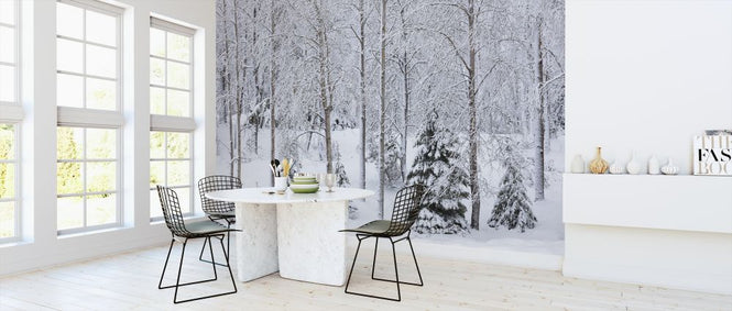 PHOTOWALL / Snow in the Forest (e313243)