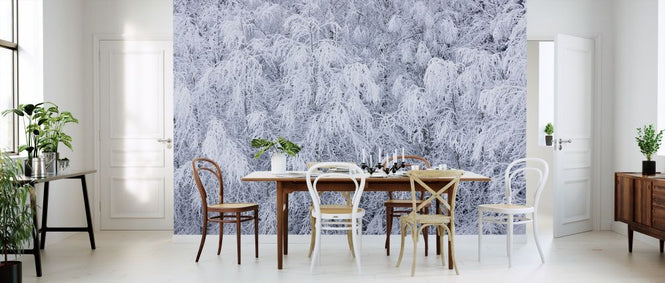PHOTOWALL / Snow in the Trees (e313245)