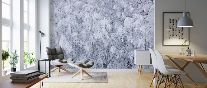 PHOTOWALL / Snow in the Trees (e313245)