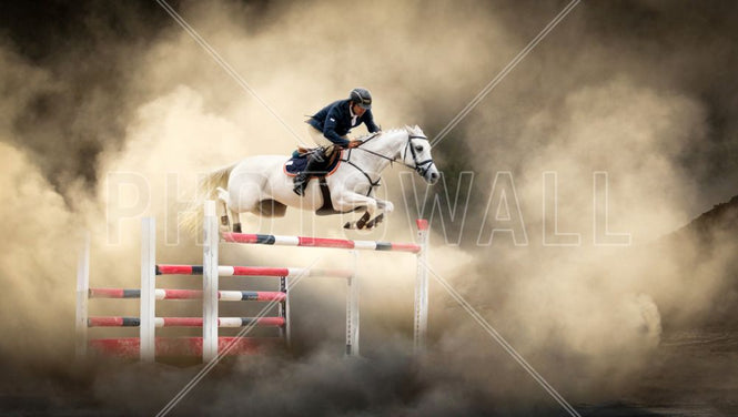 PHOTOWALL / White Horse (e313129)