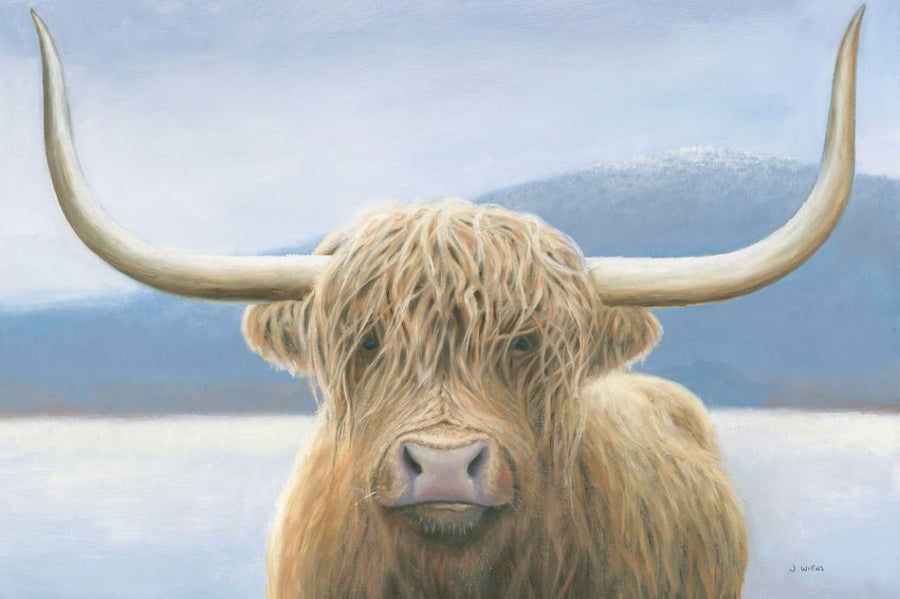 PHOTOWALL / Highland Cow (e313335)