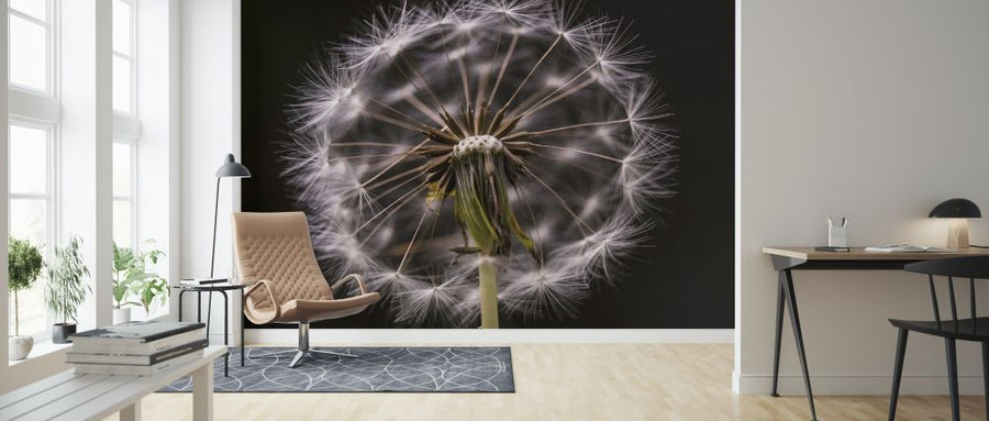 PHOTOWALL / Freaky flower (e313343)