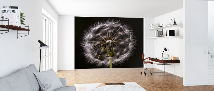 PHOTOWALL / Freaky flower (e313343)