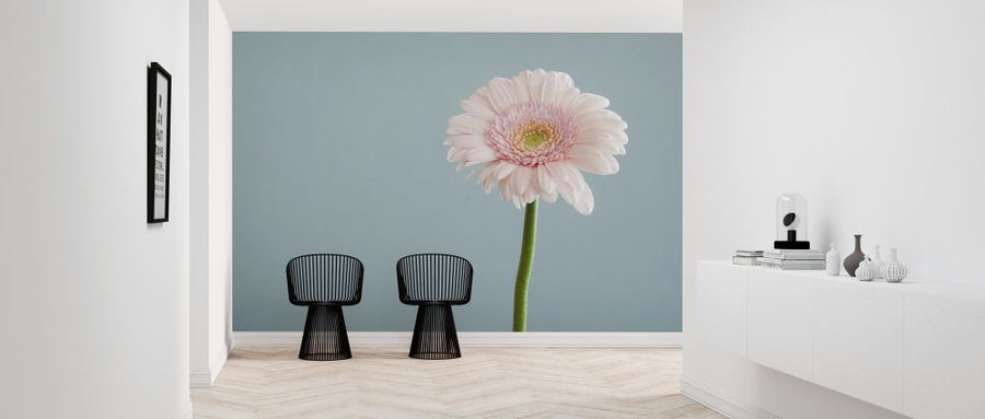 PHOTOWALL / Pink Gerbera Up Close (e313358)