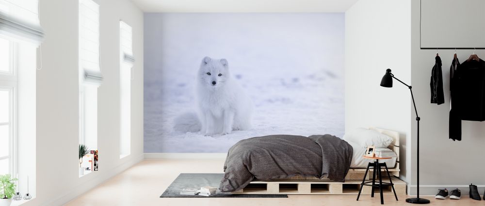PHOTOWALL / Artic Fox (e313552) | 輸入壁紙専門店 WALPA – WALPA.jp