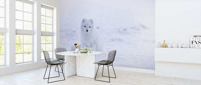 PHOTOWALL / Artic Fox (e313552)