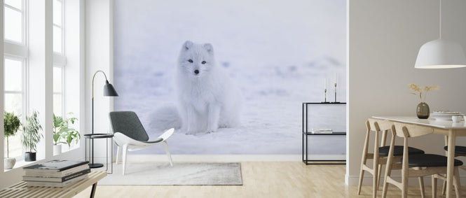 PHOTOWALL / Artic Fox (e313552)