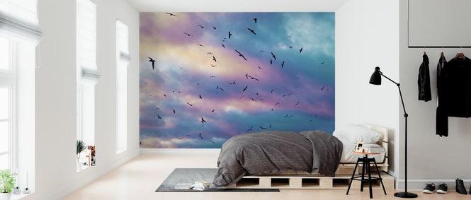 PHOTOWALL / Birds in Colorful Sky (e313611)