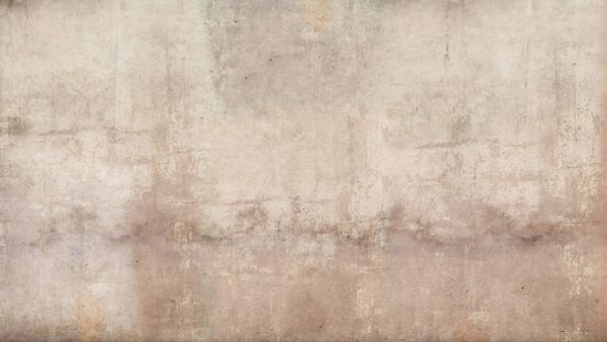 PHOTOWALL / Brown Toned Plaster Wall (e313614)