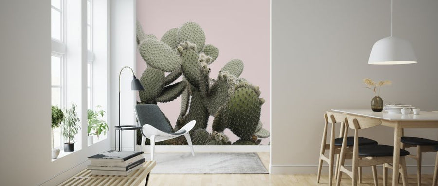 PHOTOWALL / Cactus Light Pink Background (e313615)